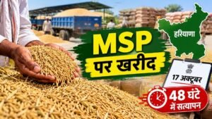 हरियाणा में MSP पर धान खरीद और तय सीमा से अधिक धान का सत्यापन