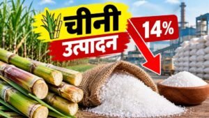 भारत में चीनी उत्पादन में 14 प्रतिशत गिरावट और USDA का 2.95 करोड़ टन उत्पादन अनुमान