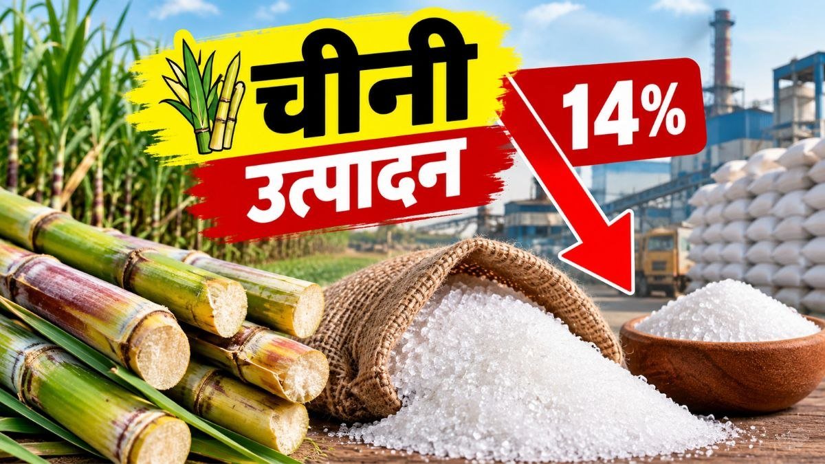 भारत में चीनी उत्पादन में 14 प्रतिशत गिरावट और USDA का 2.95 करोड़ टन उत्पादन अनुमान
