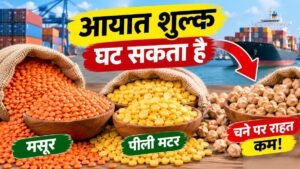 मसूर पीली मटर और चने पर आयात शुल्क में संभावित बदलाव