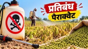 मध्य प्रदेश में मूंग सुखाने के लिए पैराक्वेट डाइक्लोराइड पर प्रतिबंध