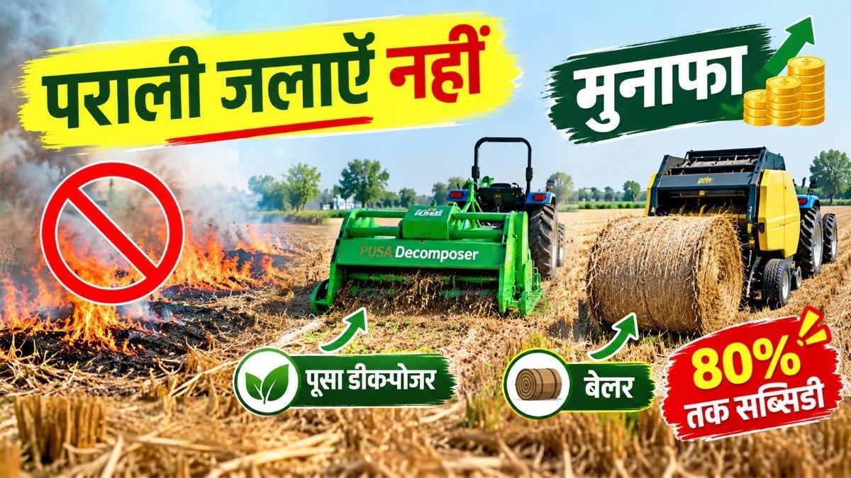 धान की पराली प्रबंधन के लिए पूसा डीकम्पोजर और बेलर मशीन