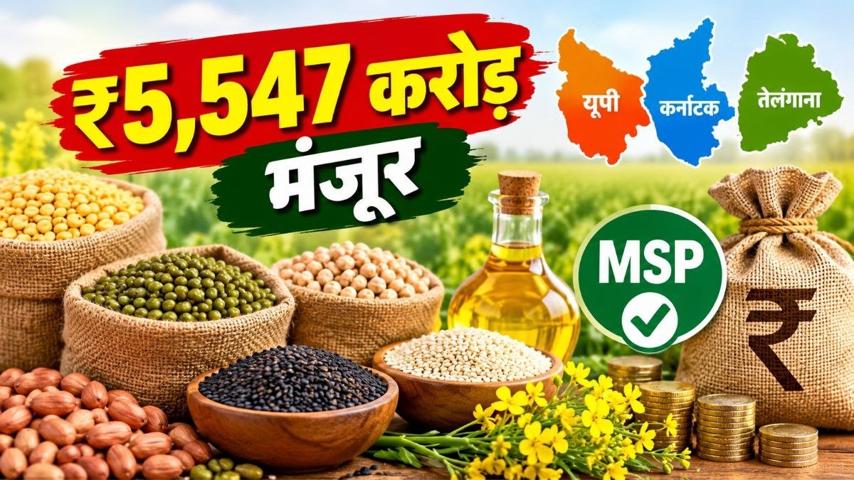 दलहन-तिलहन की MSP पर खरीद के लिए ₹5,547 करोड़ मंजूर