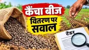 राजस्थान में ₹14.50 करोड़ के कैंचा बीज वितरण और टेंडर नियमों की जांच