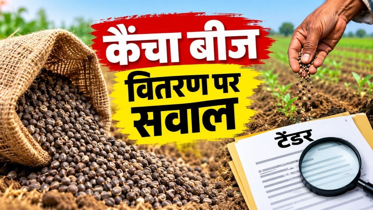 राजस्थान में ₹14.50 करोड़ के कैंचा बीज वितरण और टेंडर नियमों की जांच