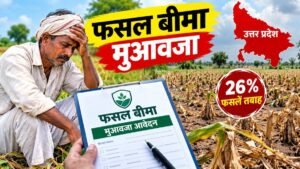 यूपी में फसल बीमा मुआवजे के लिए किसानों की फसल क्षति का सर्वे