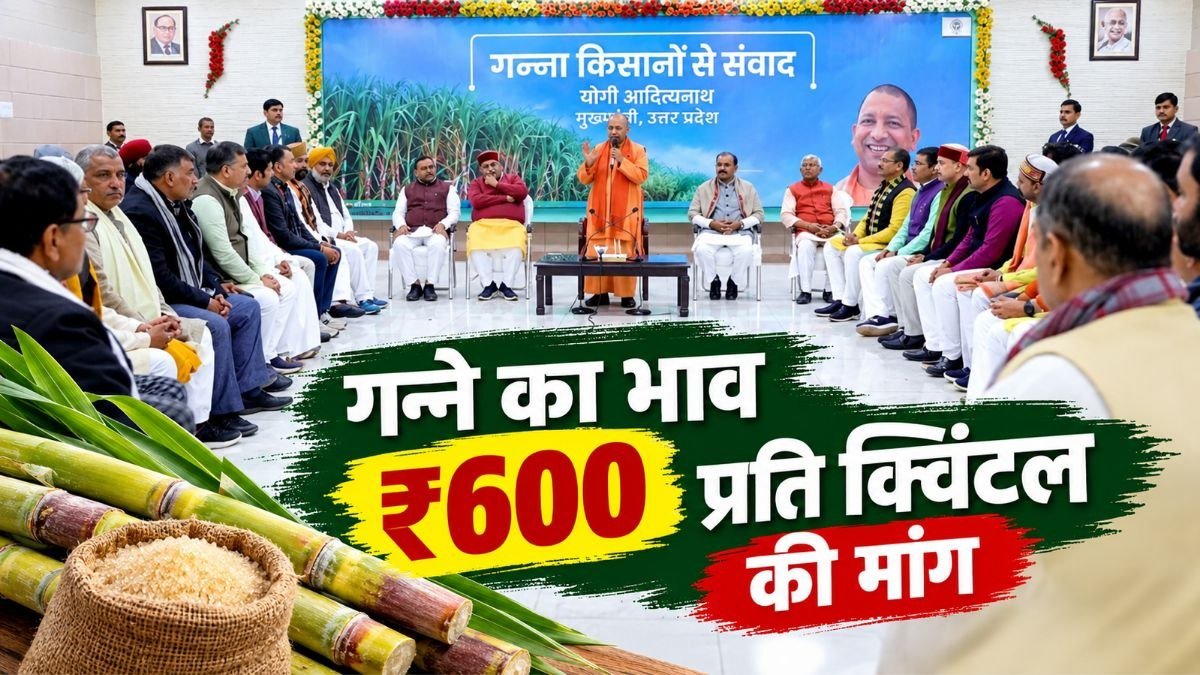 यूपी में गन्ने का भाव ₹600 प्रति क्विंटल करने की मांग के बीच गन्ने के खेत में किसान